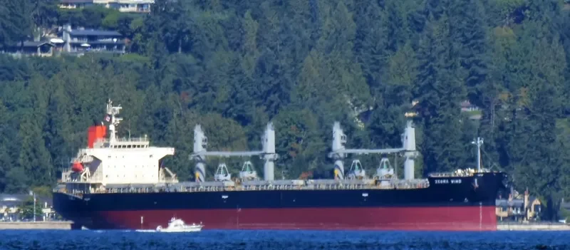 CYGNUS Bulk Carrier IMO 9401855
