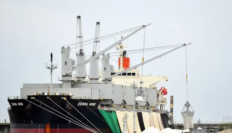 CYGNUS Bulk Carrier IMO 9401855 photo 5