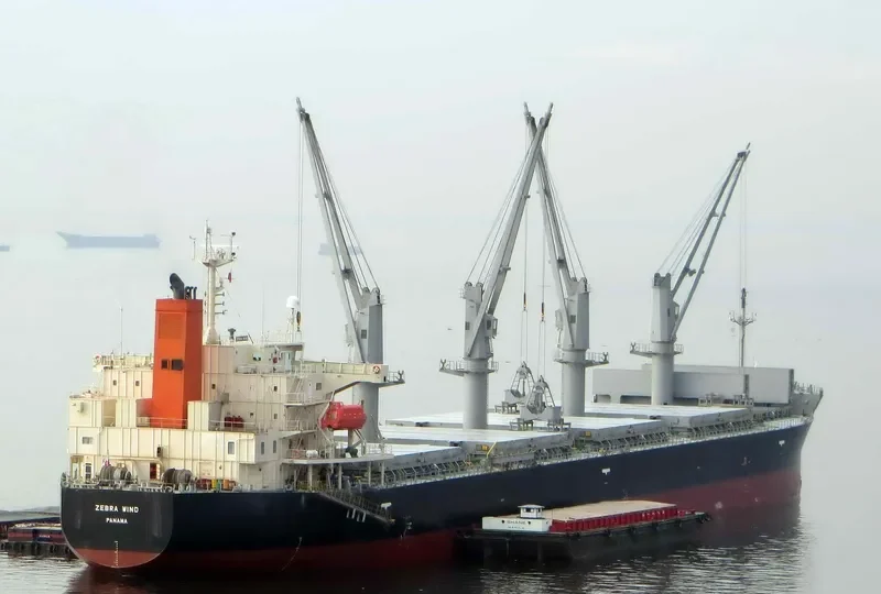 CYGNUS Bulk Carrier IMO 9401855 photo 7