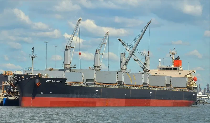 CYGNUS Bulk Carrier IMO 9401855 photo 10