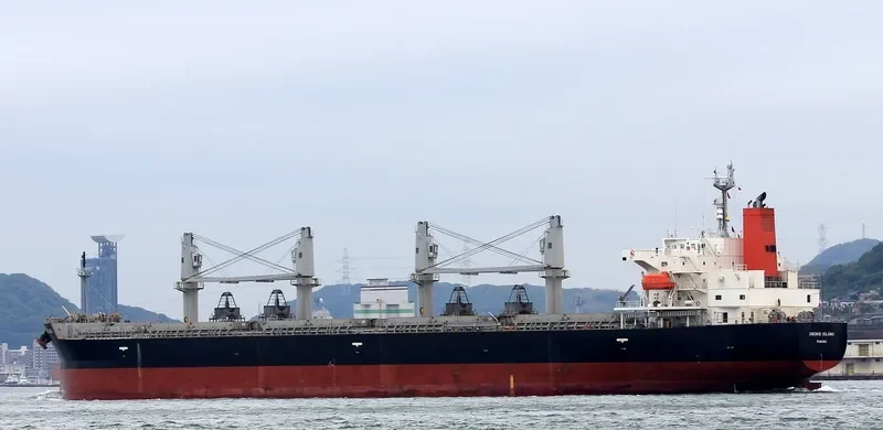 ORCHID ISLAND Bulk Carrier IMO 9401867 photo 3