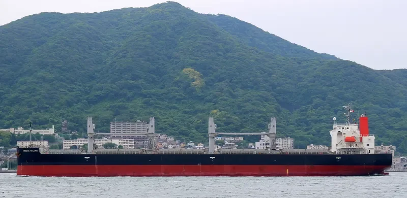 ORCHID ISLAND Bulk Carrier IMO 9401867 photo 4