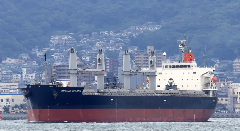 ORCHID ISLAND Bulk Carrier IMO 9401867 photo 6