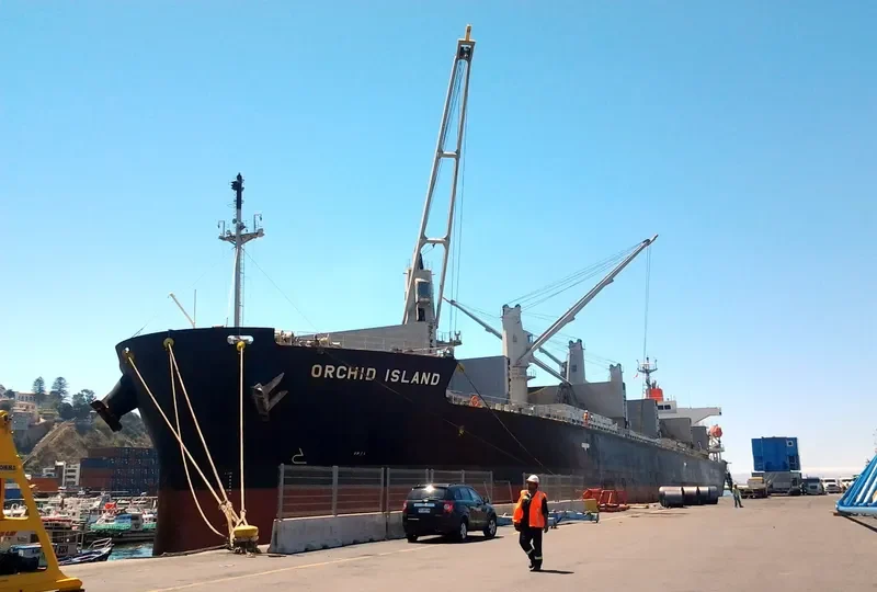 ORCHID ISLAND Bulk Carrier IMO 9401867 photo 9