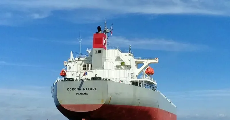 CORONA NATURE Bulk Carrier IMO 9401908 photo 2
