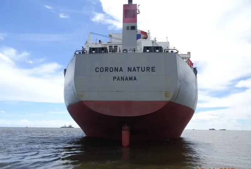 CORONA NATURE Bulk Carrier IMO 9401908 photo 3