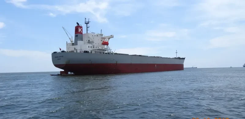 CORONA NATURE Bulk Carrier IMO 9401908 photo 4