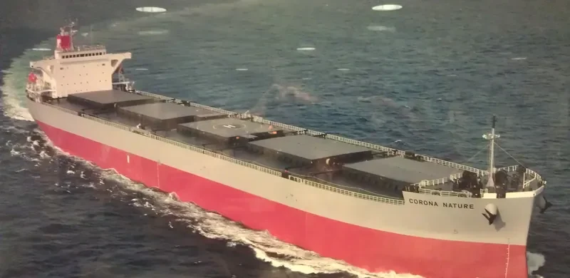 CORONA NATURE Bulk Carrier IMO 9401908 photo 5
