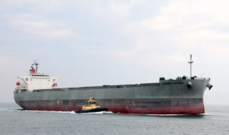 CORONA NATURE Bulk Carrier IMO 9401908 photo 6