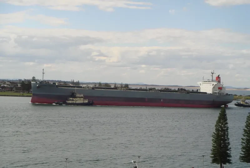 CORONA NATURE Bulk Carrier IMO 9401908 photo 7