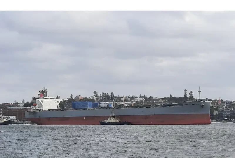 CORONA NATURE Bulk Carrier IMO 9401908 photo 9