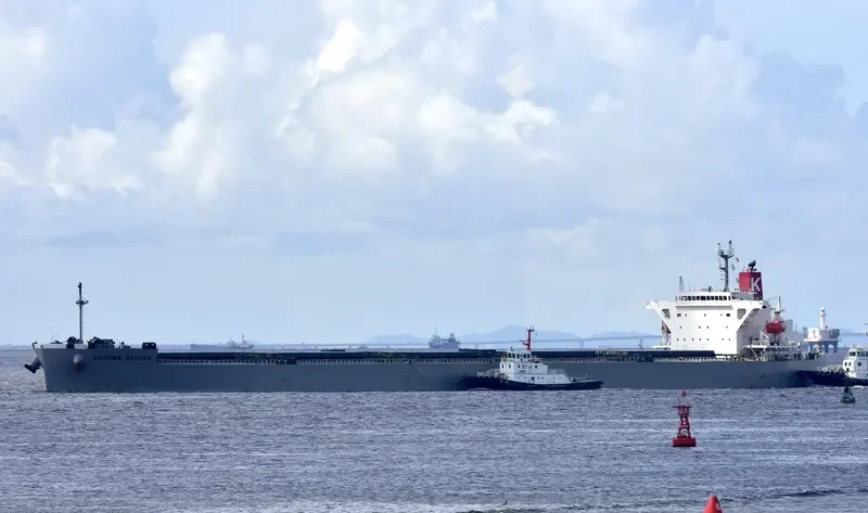 CORONA NATURE Bulk Carrier IMO 9401908 photo 10