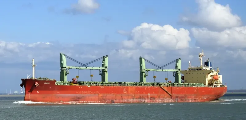 YANNIS Bulk Carrier IMO 9401910 photo 5