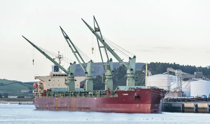 YANNIS Bulk Carrier IMO 9401910 photo 7