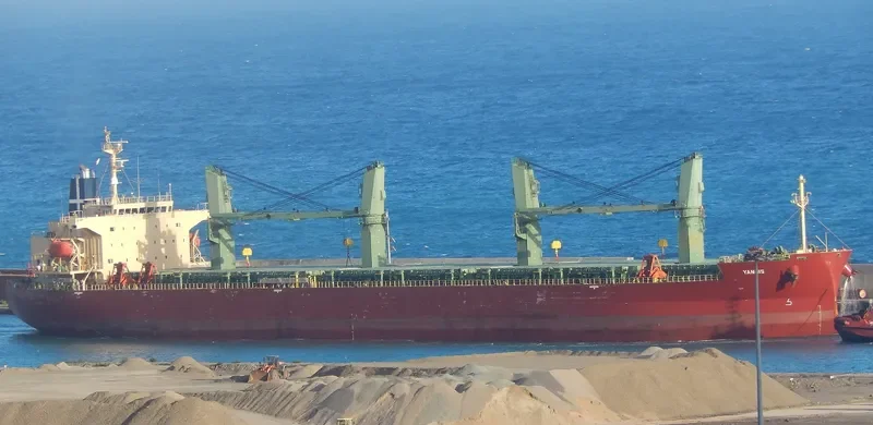 YANNIS Bulk Carrier IMO 9401910 photo 8