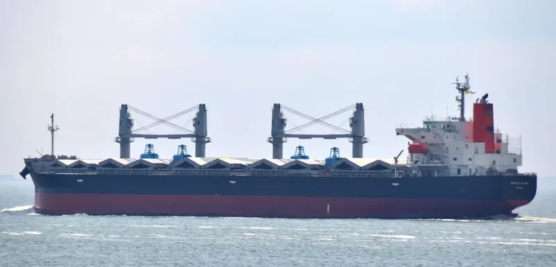 ORANGE ISLAND Bulk Carrier IMO 9401958 photo 7