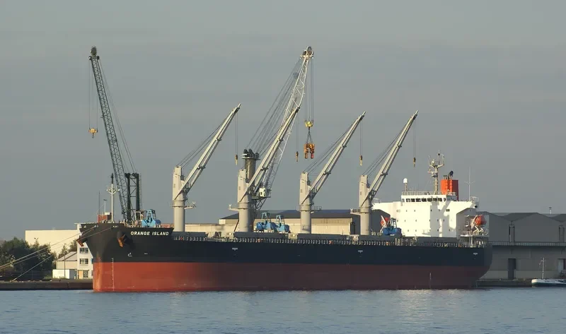 ORANGE ISLAND Bulk Carrier IMO 9401958 photo 9