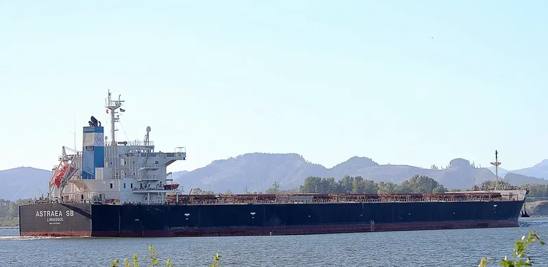 ASTRAEA SB Bulk Carrier IMO 9401960