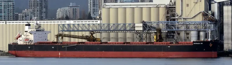 ASTRAEA SB Bulk Carrier IMO 9401960 photo 3