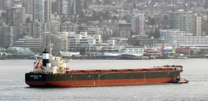 ASTRAEA SB Bulk Carrier IMO 9401960 photo 5