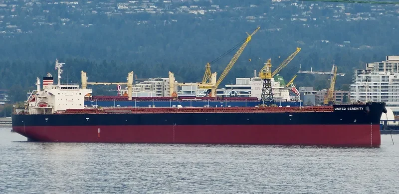 ASTRAEA SB Bulk Carrier IMO 9401960 photo 9