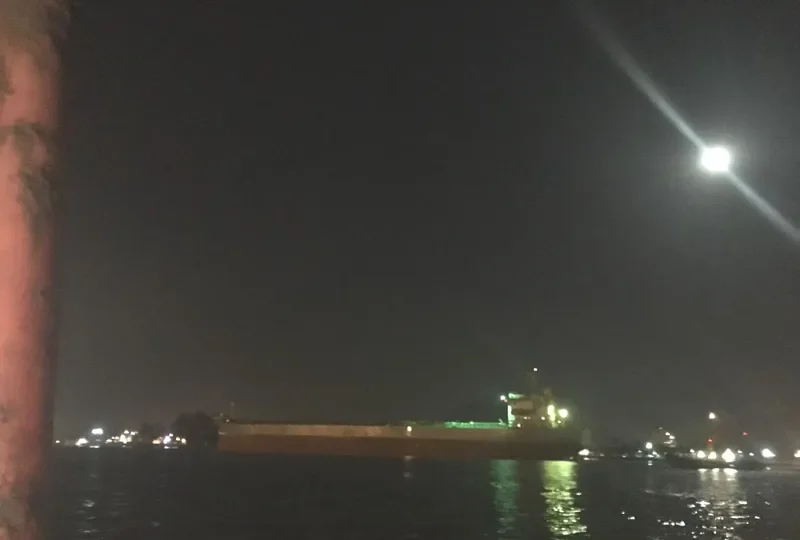 SUNSHINE BLISS Bulk Carrier IMO 9401996