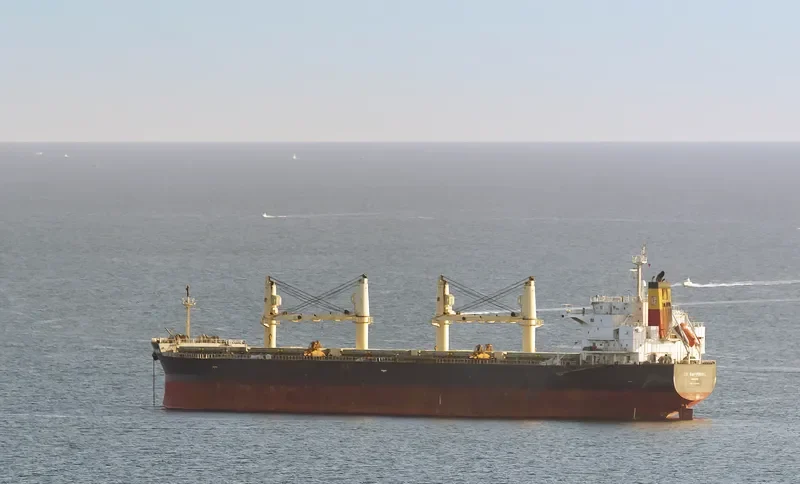 EM SAPPHIRE Bulk Carrier IMO 9402005 photo 10