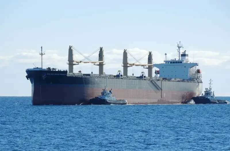 ZEN NOH GRAIN PEGASUS Bulk Carrier IMO 9402017