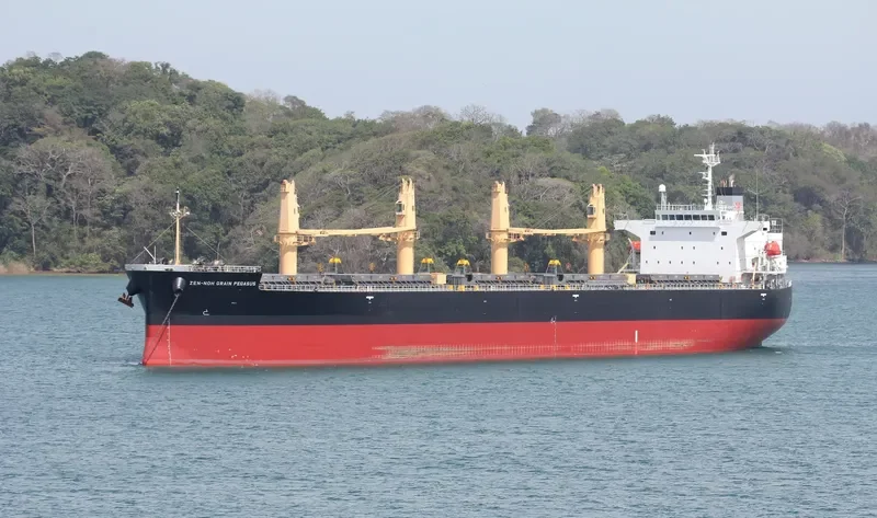 ZEN NOH GRAIN PEGASUS Bulk Carrier IMO 9402017 photo 2