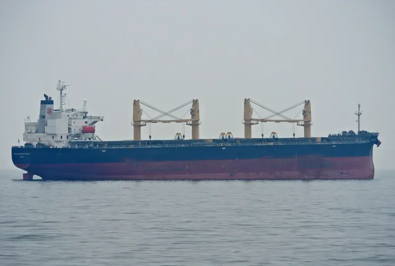 ZEN NOH GRAIN PEGASUS Bulk Carrier IMO 9402017 photo 4