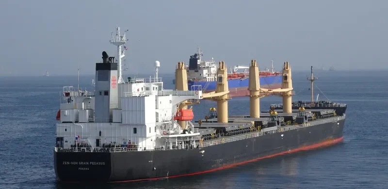 ZEN NOH GRAIN PEGASUS Bulk Carrier IMO 9402017 photo 5