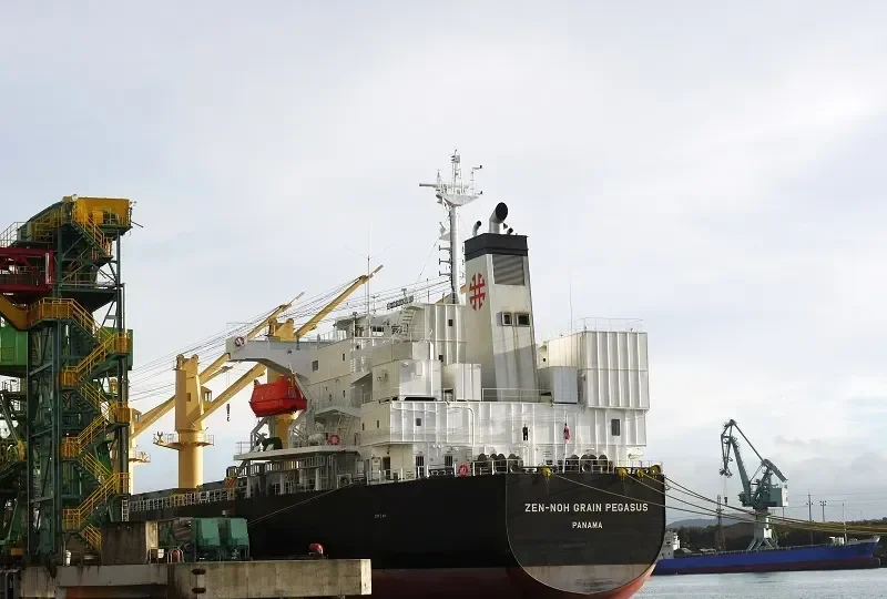 ZEN NOH GRAIN PEGASUS Bulk Carrier IMO 9402017 photo 9