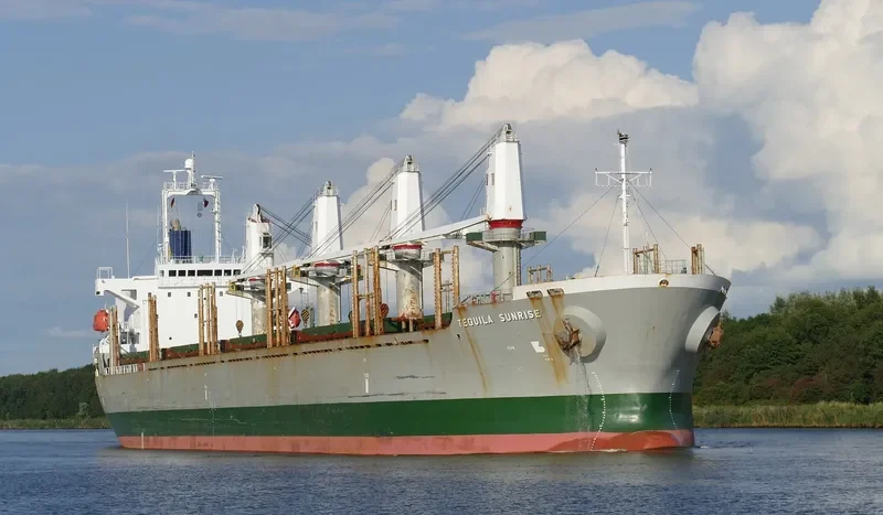 STRAITS BREEZE Bulk Carrier IMO 9402110 photo 9