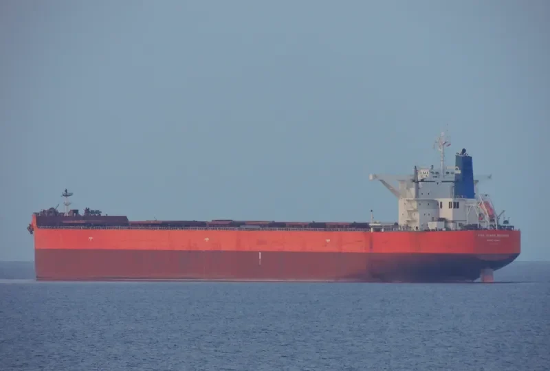 ALPHA UNITY Bulk Carrier IMO 9402299 photo 2