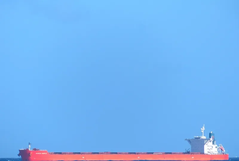 DUKESHIP Bulk Carrier IMO 9402304 photo 2