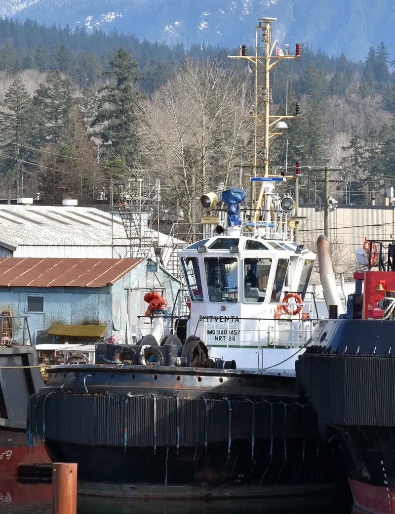 SAAM VENTA General Cargo IMO 9402457