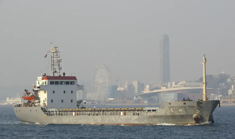 QING RU Bulk Carrier IMO 9402897