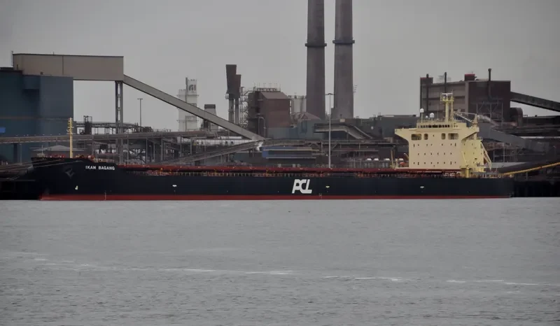 VELA STAR Bulk Carrier IMO 9402938 photo 3