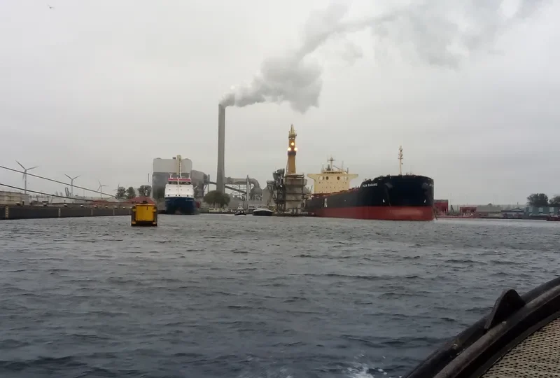 VELA STAR Bulk Carrier IMO 9402938 photo 5