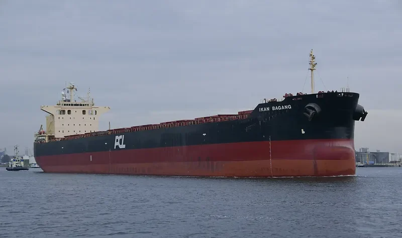 VELA STAR Bulk Carrier IMO 9402938 photo 7