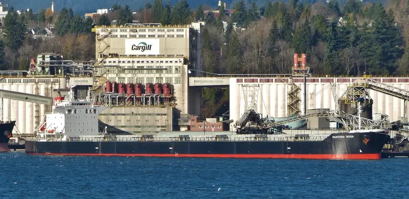 PELAGIA Bulk Carrier IMO 9402940 photo 3