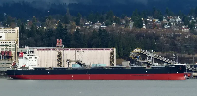 PELAGIA Bulk Carrier IMO 9402940 photo 6