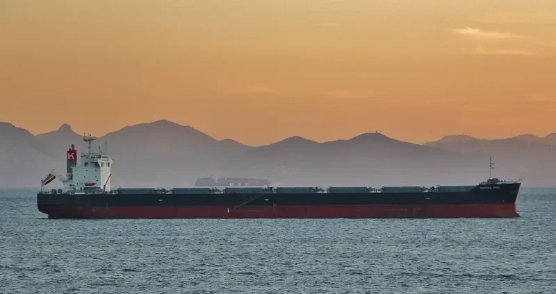PELAGIA Bulk Carrier IMO 9402940 photo 7