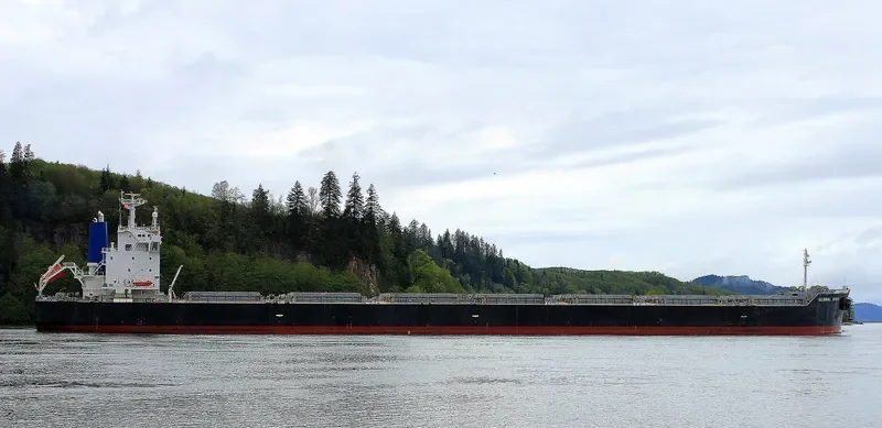 NIAN NU JIAO Bulk Carrier IMO 9402952 photo 2