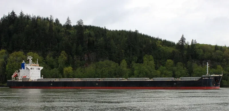 NIAN NU JIAO Bulk Carrier IMO 9402952 photo 3