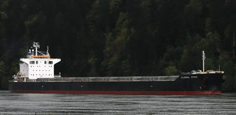 NIAN NU JIAO Bulk Carrier IMO 9402952 photo 4