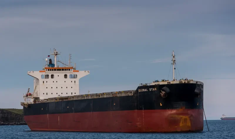 NIAN NU JIAO Bulk Carrier IMO 9402952 photo 7