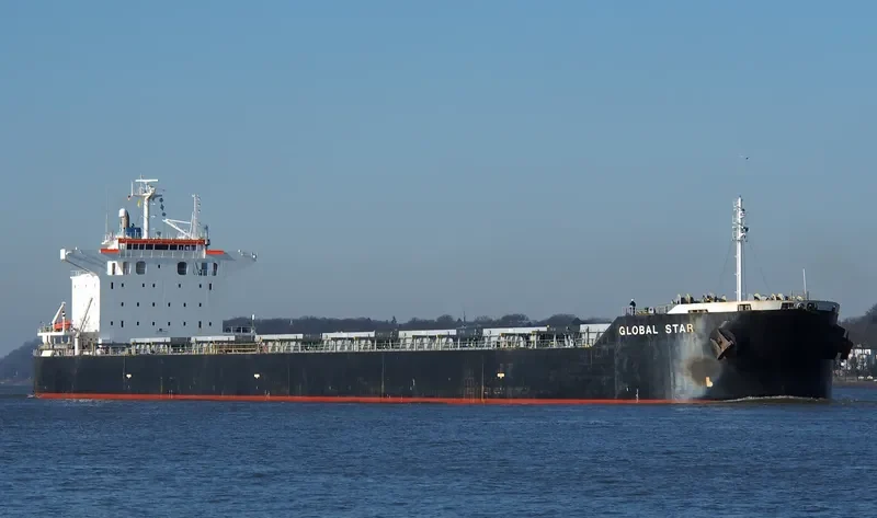 NIAN NU JIAO Bulk Carrier IMO 9402952 photo 10