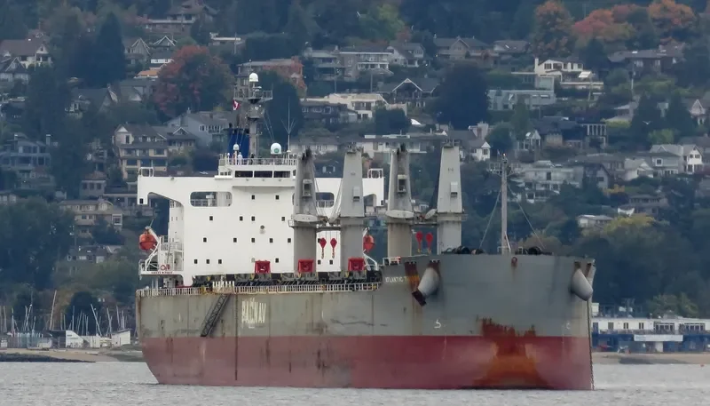 ATLANTIC TULUM Bulk Carrier IMO 9403035 photo 3