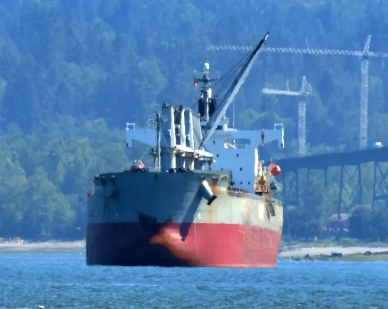 ATLANTIC TULUM Bulk Carrier IMO 9403035 photo 5